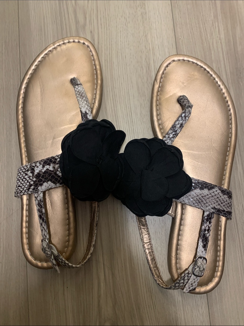 BCBGeneration Gold Sandals with Black Floral Accent